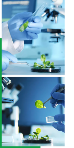 創(chuàng)新驅(qū)動(dòng)，智領(lǐng)未來——我們的企業(yè)簡介